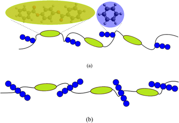 Figure 1. Configuration schématique de chaîne de (a) bras unique, et (b) deux bras SCLCP. Les perles bleues et les ellipsoïdes verts sont des phénols, et les monomères longitudinaux (diphényl isophthalate), respectivement.